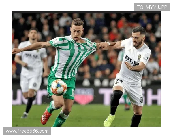 澳超麦克阿瑟FC与水手赛因雷击延迟开球