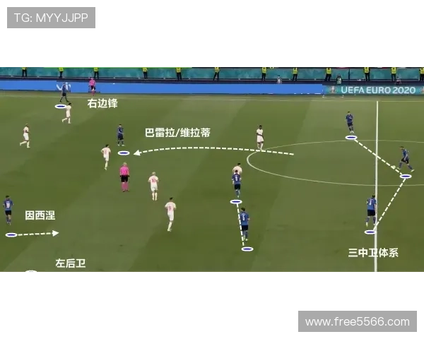 格拉维纳呼吁政府加大对意大利足球支持